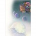 JOSEPHINE WALL GREETING CARD Luna Landra